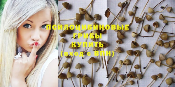 прущий лед Белокуриха