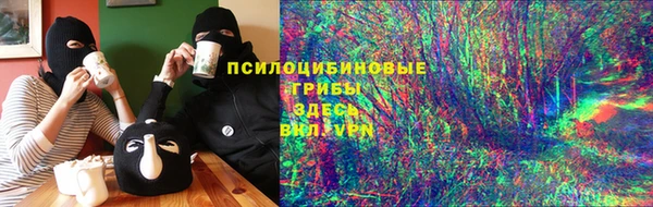 прущий лед Белокуриха
