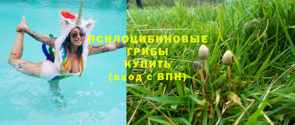 прущий лед Белокуриха